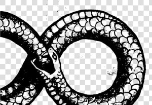 Ouroboros Transparent Png Crop   Snake In 8 Shape  Png Download