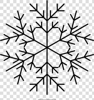 Dibujo De Copo Nieve Para Colorear Ultra Coloring Pages   Cách Vẽ Hoa Tuyết Đơn Giản  HD Png Download