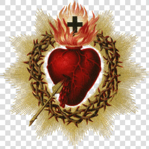 Sacred Heart Of Jesus Png  Transparent Png