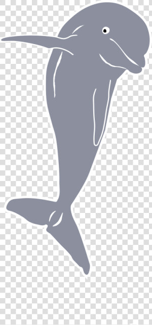 Dolphin Jumping  Front Clip Arts   Transparent Beluga Whale Outline  HD Png Download