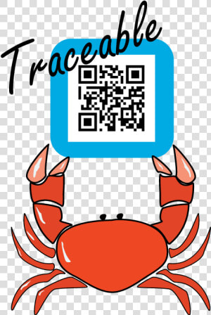 Traceable  amp  Sustainable Crab   Cancer  HD Png Download