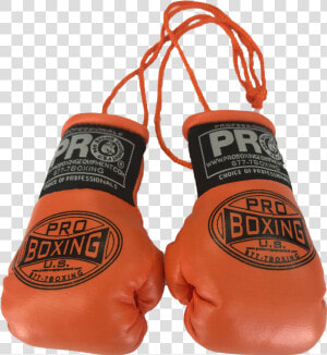 Mini Boxing Gloves By Reppa Usa Strength Training Equipment   Amateur Boxing  HD Png Download