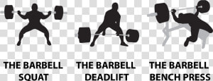 Squat Bench Deadlift Logo  HD Png Download