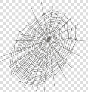 Halloween Large Spider Web Png Clipart Spider Web    Transparent Background Spiderweb Png  Png Download