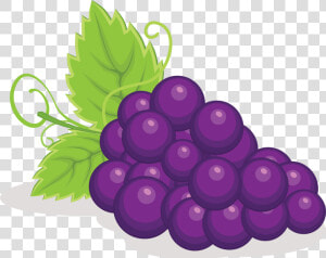 Imagen De Uvas En Caricatura  HD Png Download