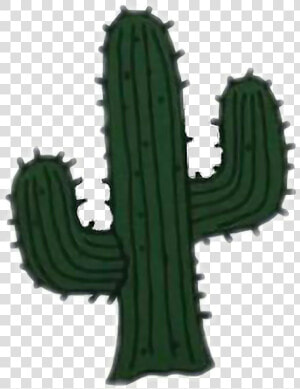 Cactus Clipart San Pedro   Cacto Tumblr Png  Transparent Png