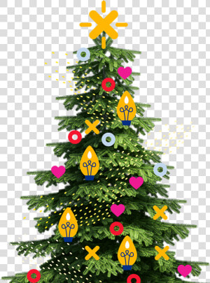 Transparent Charlie Brown Christmas Tree Png   Sapin De Noel Dessin Fond Transparent  Png Download