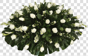 Funeraria Reyna Caborca Sonora  HD Png Download