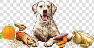 Blissful Biscuit Art   Dog Yawns  HD Png Download