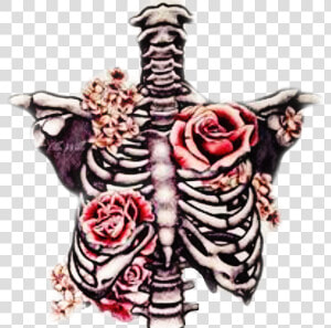  freetoedit  ribcage  bones  roses  beautifuldeath   Skeleton And Roses Drawing  HD Png Download