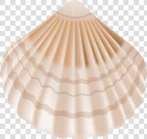 Seashell Png Clip Art   Transparent Background Clipart Transparent Seashells  Png Download