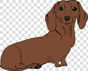 Dachshund Png   Brown Dachshund Cartoon  Transparent Png