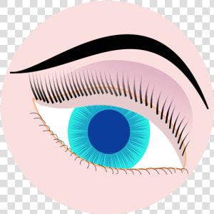 Devils Eyes Clip Art Download   Lashes In Circle Icon Clipart Transparent  HD Png Download