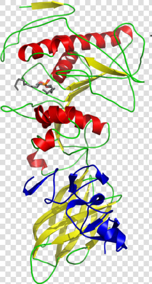 Pancreatic Lipase Colipase Complex With Inhibitor 1lpb   Tertiary Structure Of Lipase  HD Png Download