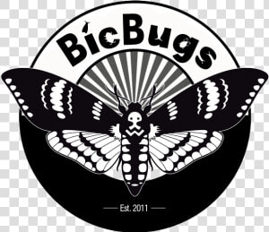 Bicbugs   Deaths Head Moth Logo  HD Png Download