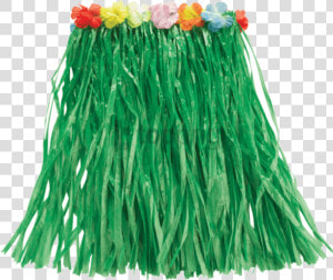 Grass Skirt Png   Transparent Background Grass Skirt Clipart  Png Download