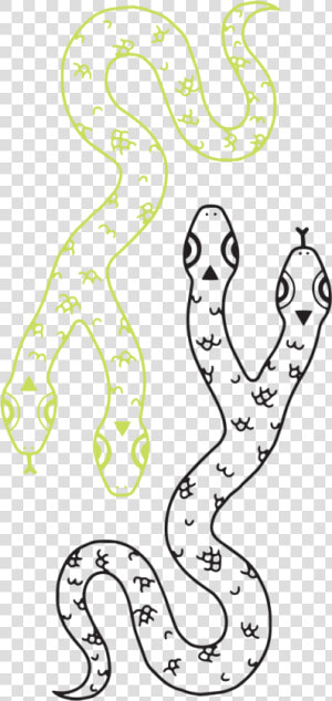 2 Headed Snake Drawing  HD Png Download