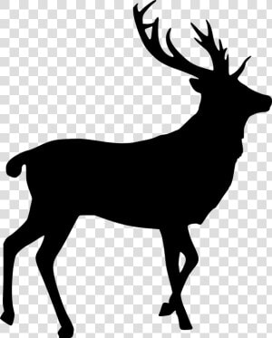 Elk  Silhouette  Cut Out  Stag  Bull   Elk Png  Transparent Png