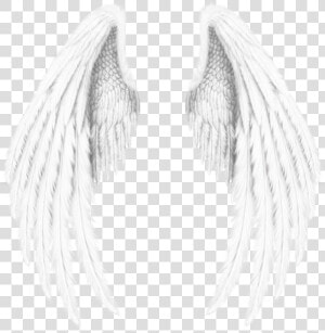  wings  angel  angels  angelwings  feathers  freetoedit   Wings Angel  HD Png Download