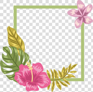  ftestickers  flowers  tropical  frame  borders  colorful   Transparent Hibiscus Background Png  Png Download