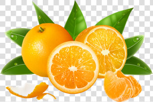 Orange S Png   Transparent Background Oranges Clipart  Png Download