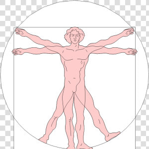 Renaissance Art Leonardo Da Vinci Vitruvian  HD Png Download