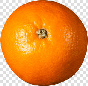 Orange Top View   Fruits Top View Png  Transparent Png