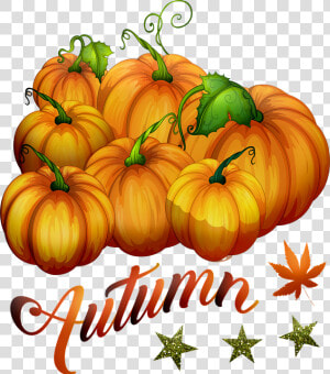 Autumn Pumpkins  Pumpkin  Halloween  Vegetables   Pumpkin  HD Png Download