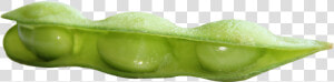 Fresh Soybean Png Image   Soy Bean Green Png  Transparent Png