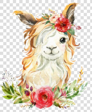  watercolor  handpainted  octopusartis  llama  littlellama   Watercolor Llama  HD Png Download