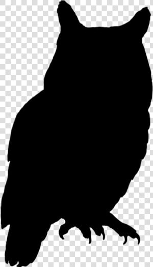 Owl Bird Silhouette Clip Art   Silhouette Of Owl  HD Png Download