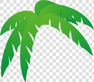 Top 82 Palm Tree Clip Art   Palm Tree Leaves Cartoon  HD Png Download