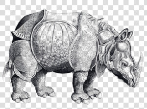 Rhinoceros  HD Png Download