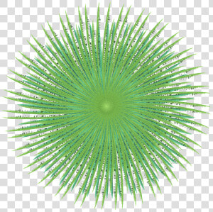 Transparent Sea Urchin Clipart   Artificial Turf  HD Png Download