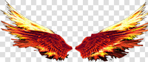  fireball  redorange  firewings  fire   Illustration  HD Png Download