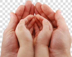 Baby Hand Png   Holding Hands Baby Transparent  Png Download