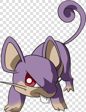 Rattata Png  Transparent Png