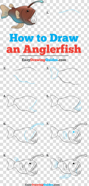 Angler Fish Drawing Step By Step  HD Png Download