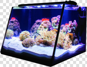 Lifegard Aquatics Full View Aquarium Reef  HD Png Download