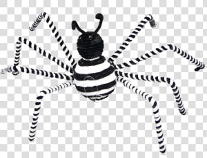 17   Spiders Black And White  HD Png Download