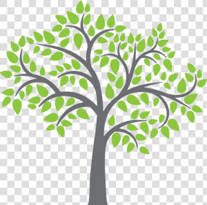 Vector Apple Tree Free Clipart   Png Download   Apple Tree Vector Png  Transparent Png