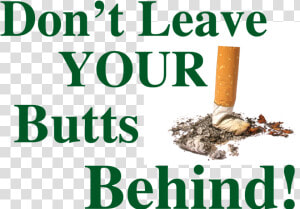 Cigarette Butt Png  Transparent Png