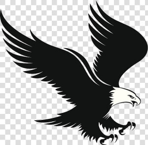 Eagle Free Clipart Clip Art On Transparent Png   Eagle Landing Clip Art  Png Download