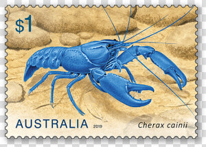 Crayfish Post  HD Png Download