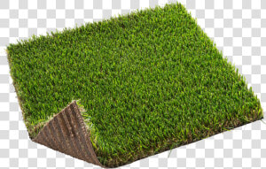 Artificial Turf  HD Png Download