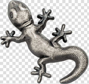 Gecko Silver Palau  HD Png Download