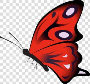 Transparent Red Butterfly Png   Red Butterfly Gif Png  Png Download