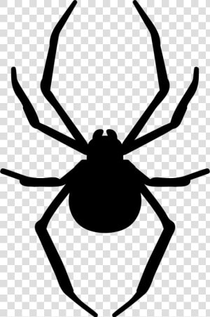 Spider Clipart Arthropod   Silhouette Spider Web Png  Transparent Png