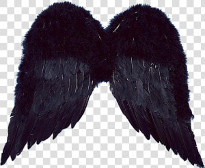 Realistic Angel Wings Png For Kids   Sayap Untuk Editor  Transparent Png