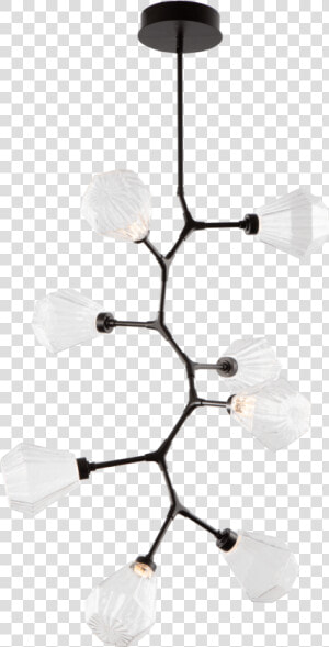 Ceiling Fixture  HD Png Download